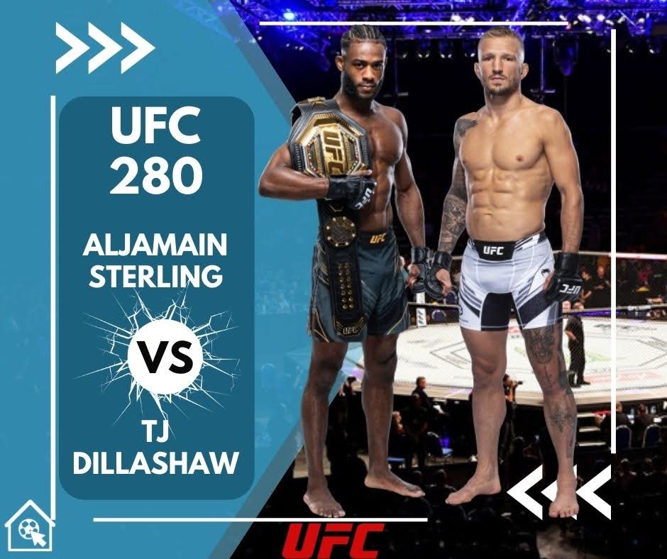 bantamweight champion Aljamain Sterling takes on TJ Dillashaw