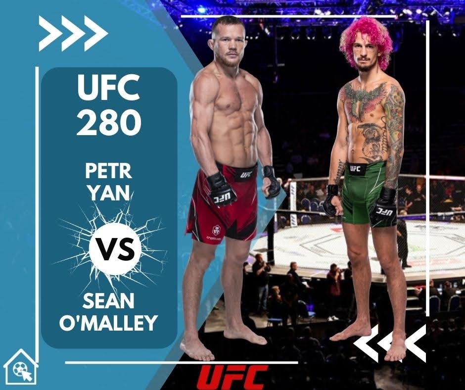Sean O'Malley and Petr Yan square off in a bantamweight fight